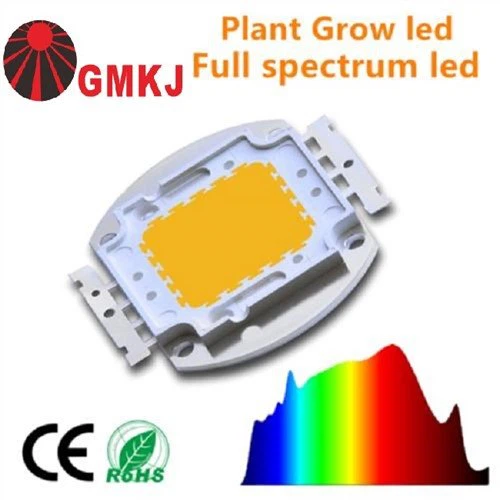 30W COB LED Full Spectrum για παχύφυτα φυτά